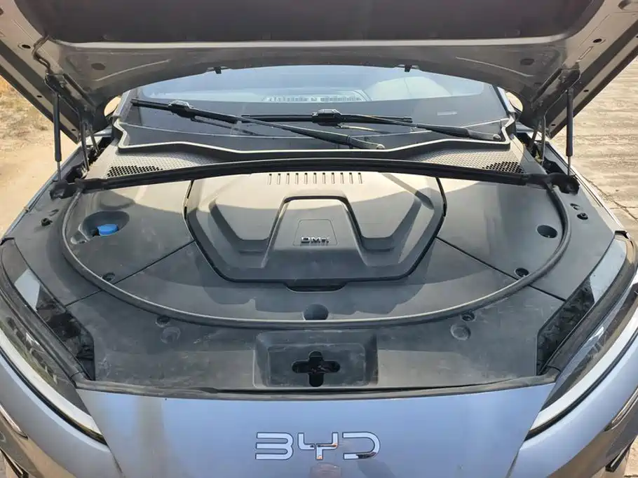 BYD PLUS New Energy — фото 10