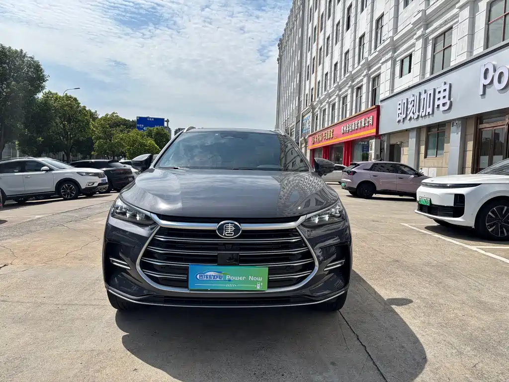 BYD Tang New Energy — фото 2
