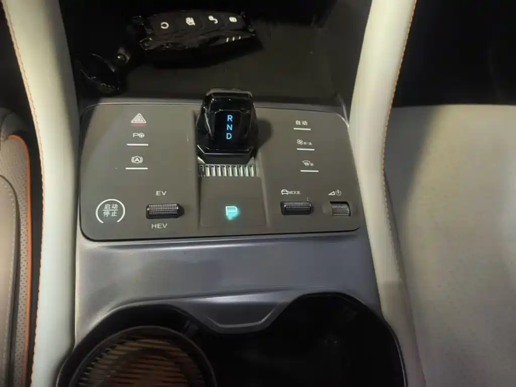BYD PLUS New Energy — фото 14