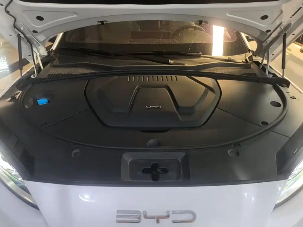 BYD PLUS New Energy — фото 20