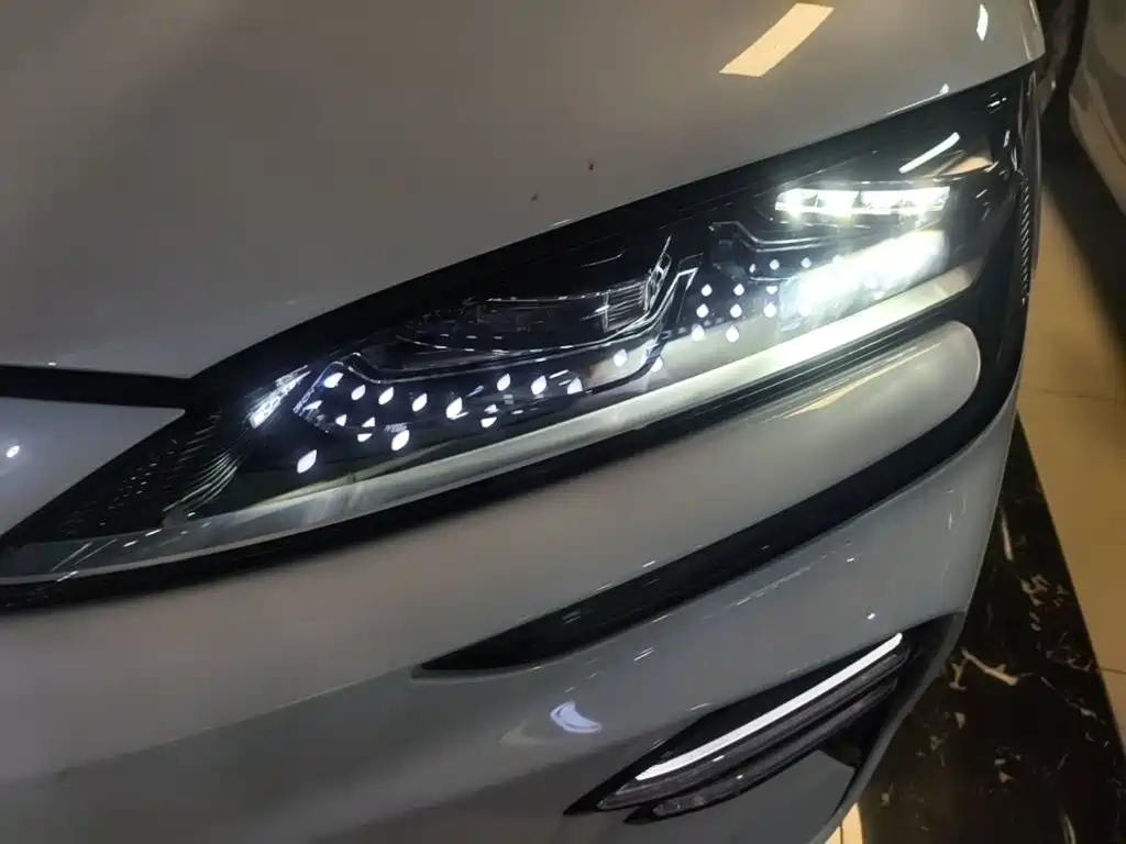 BYD PLUS New Energy — фото 24