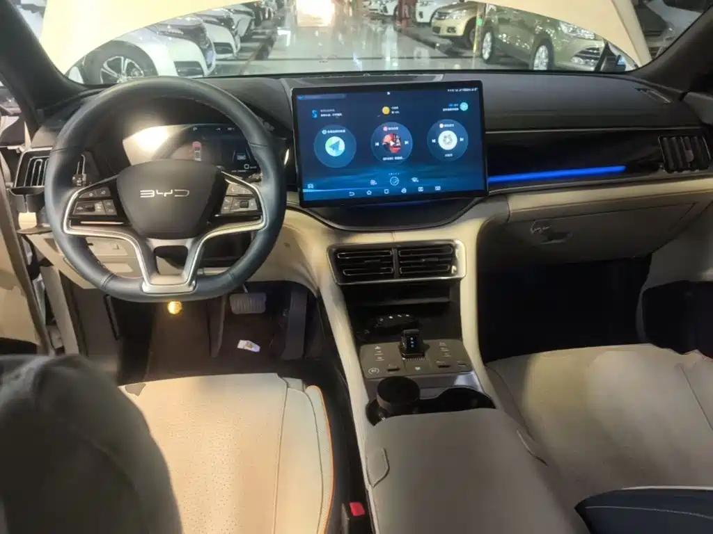 BYD PLUS New Energy — фото 10
