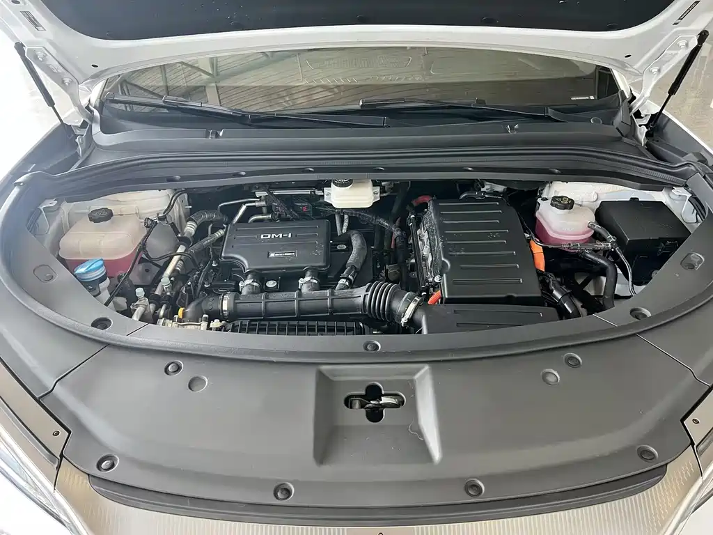 BYD L DM-i — фото 18