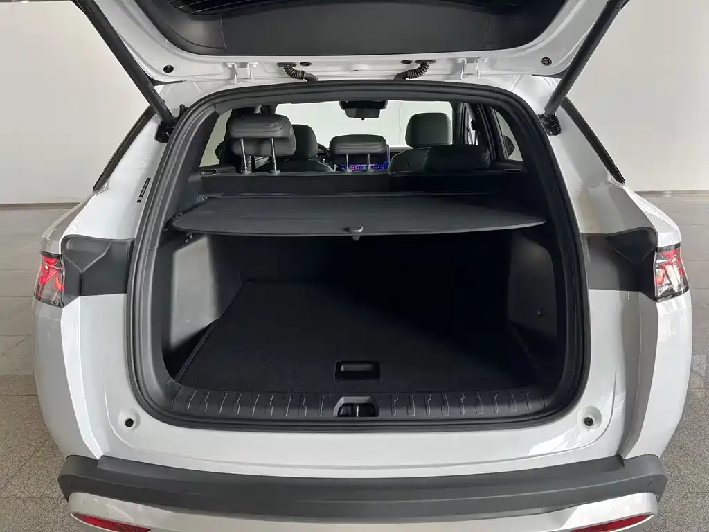 BYD L DM-i — фото 19
