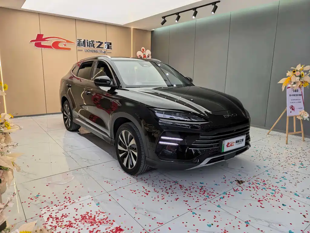 BYD PLUS New Energy — фото 2