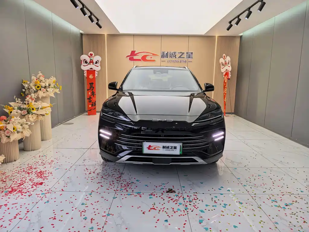 BYD PLUS New Energy — фото 3