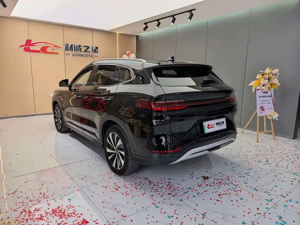 BYD PLUS New Energy — фото 4