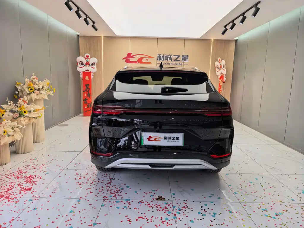 BYD PLUS New Energy — фото 5