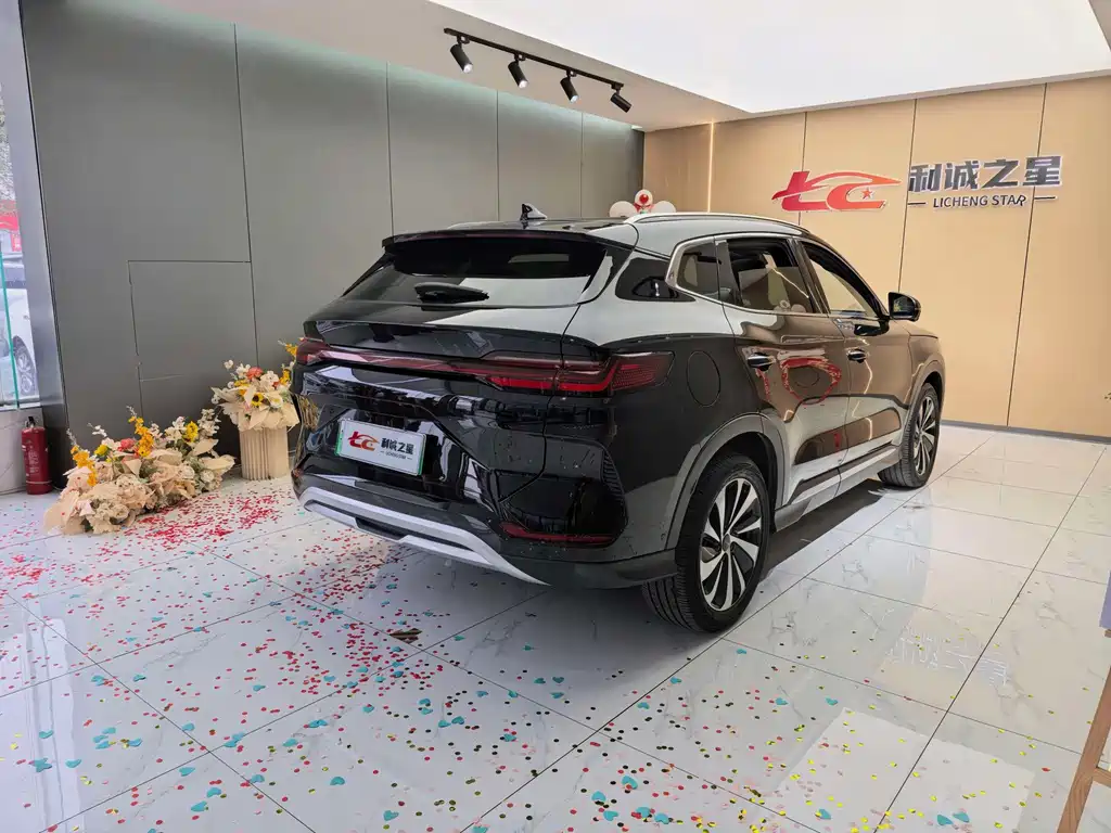 BYD PLUS New Energy — фото 6