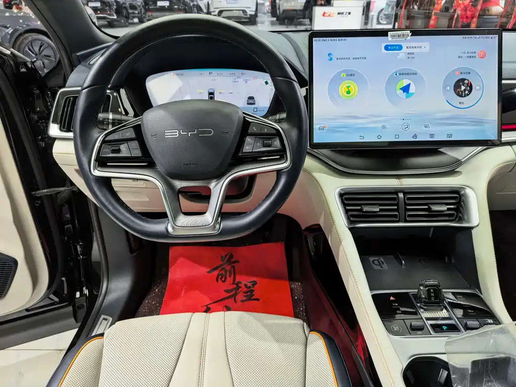 BYD PLUS New Energy — фото 10