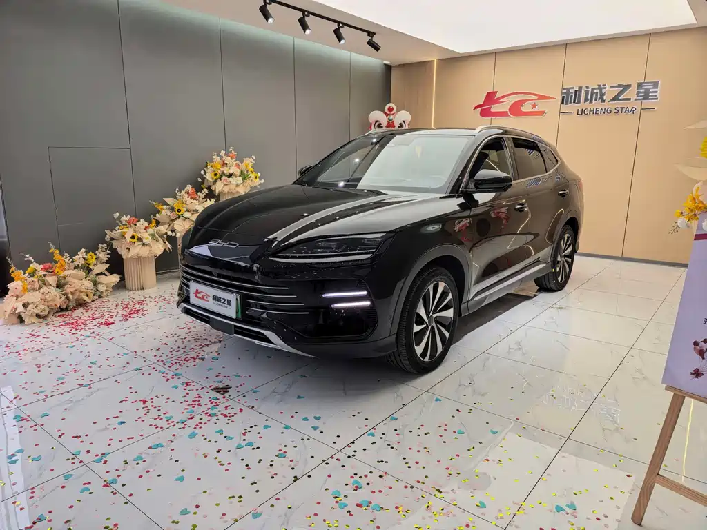 BYD PLUS New Energy