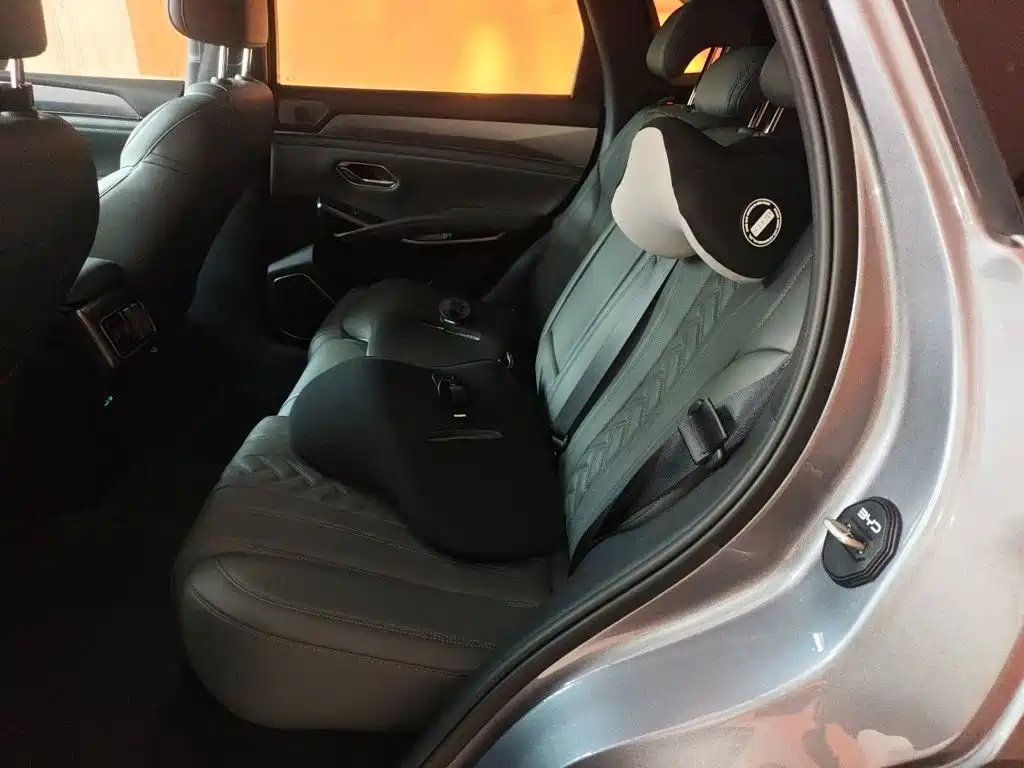 BYD L DM-i — фото 13
