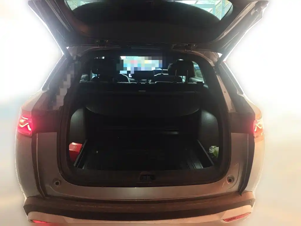 BYD L DM-i — фото 15