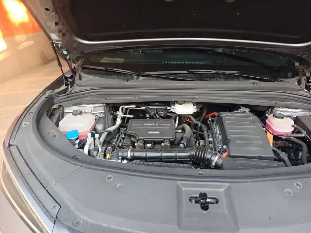 BYD L DM-i — фото 21