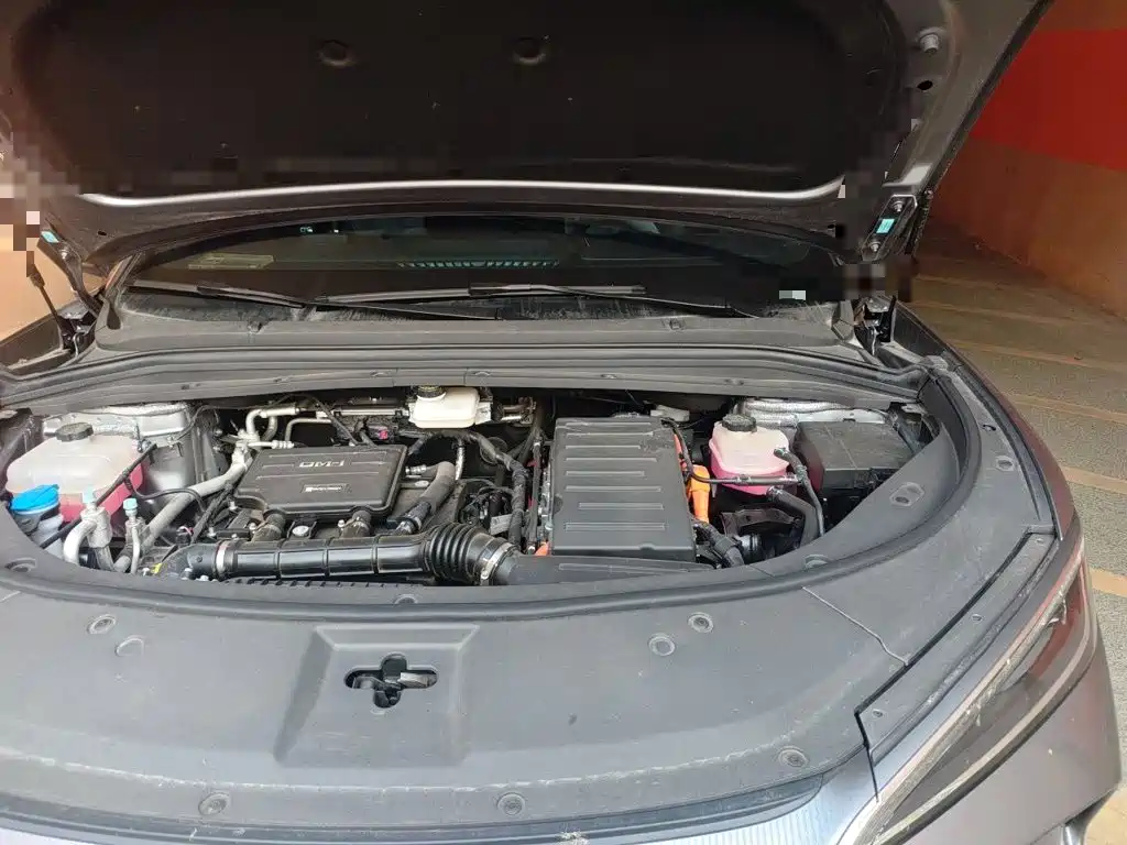 BYD L DM-i — фото 22