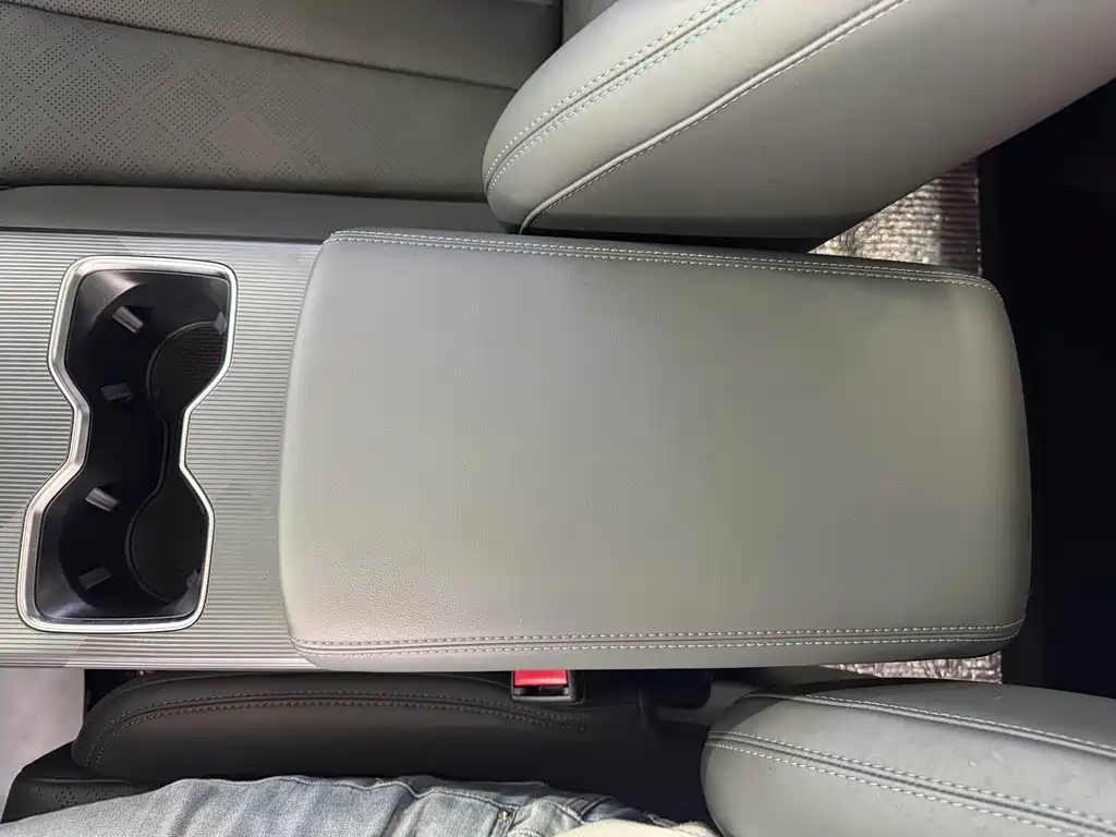 BYD L DM-i — фото 13