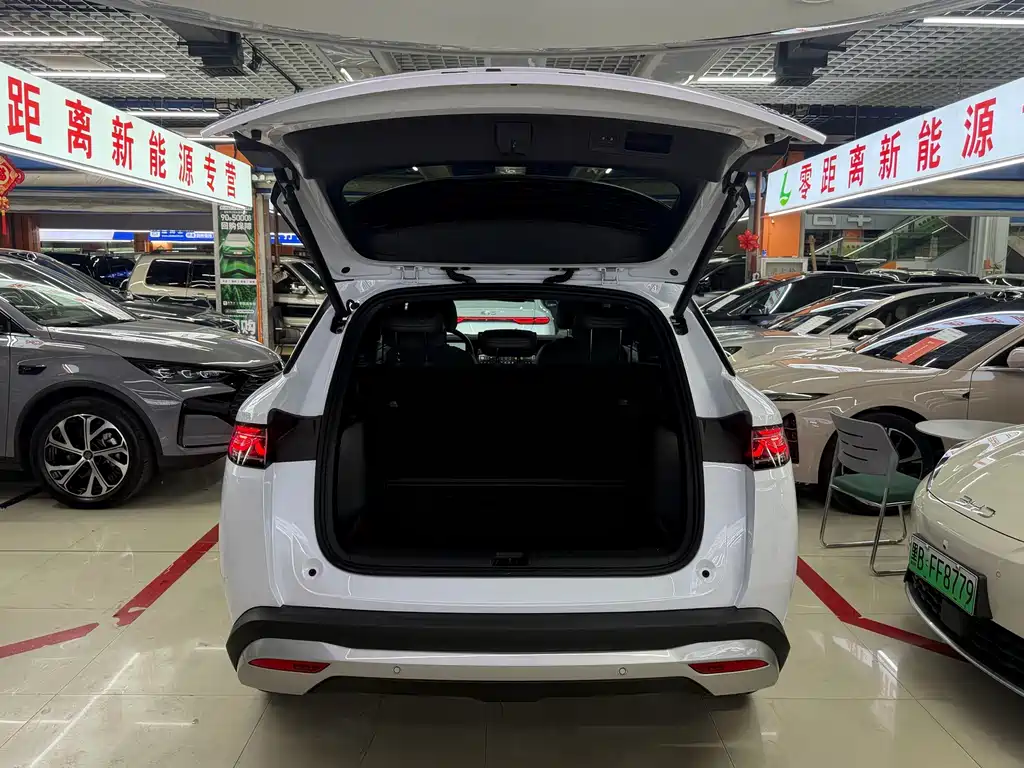 BYD L DM-i — фото 15
