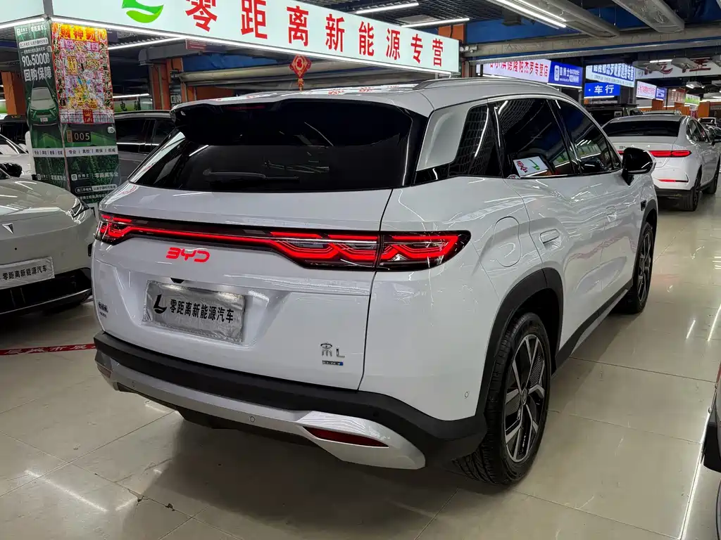 BYD L DM-i — фото 6