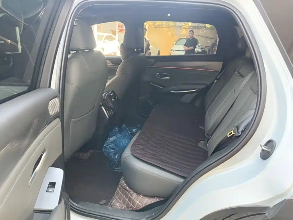 BYD L DM-i — фото 17