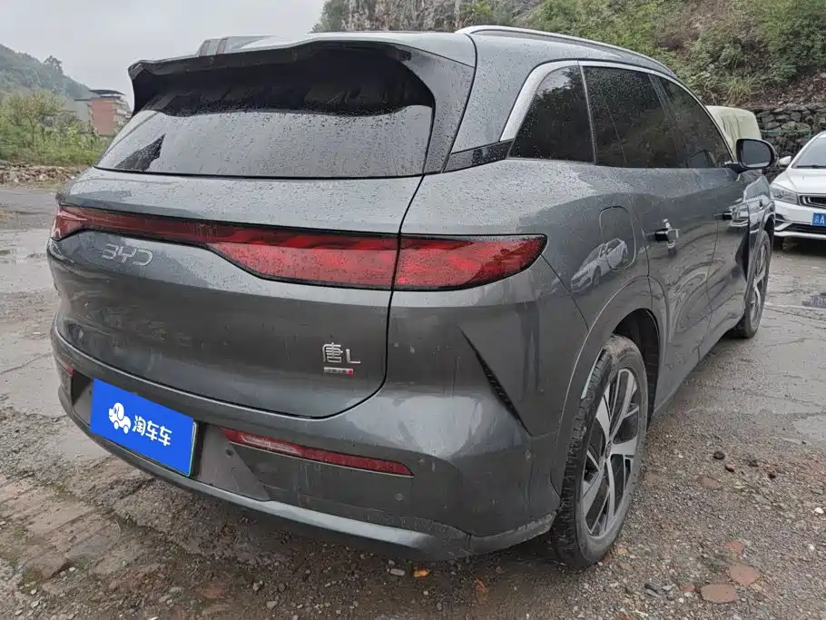 BYD Tang L — фото 3