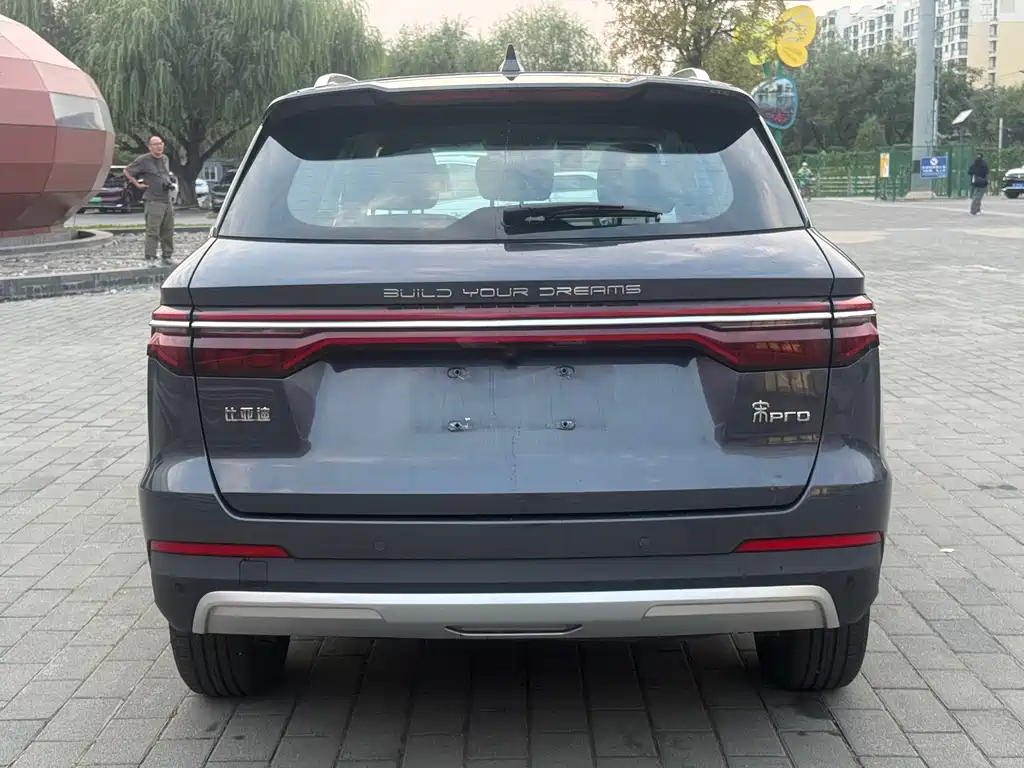 BYD Pro — фото 5
