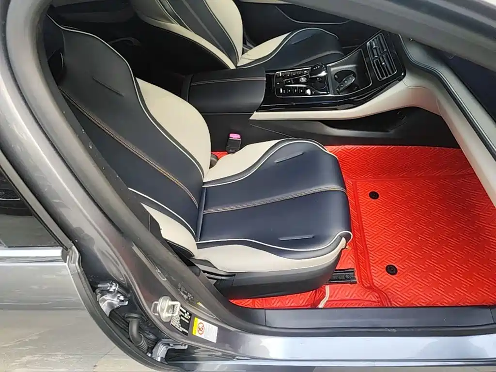 BYD Qin PLUS — фото 25