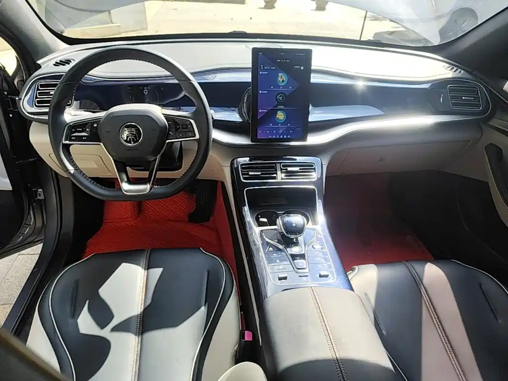 BYD Qin PLUS — фото 10