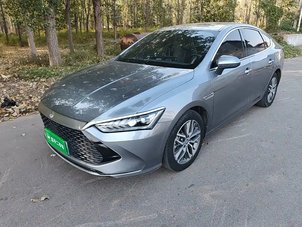BYD Qin PLUS — фото 2
