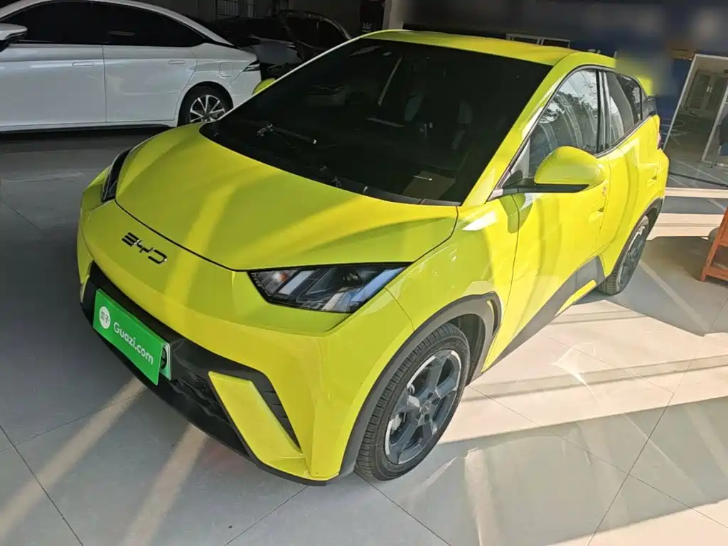 BYD Seagull