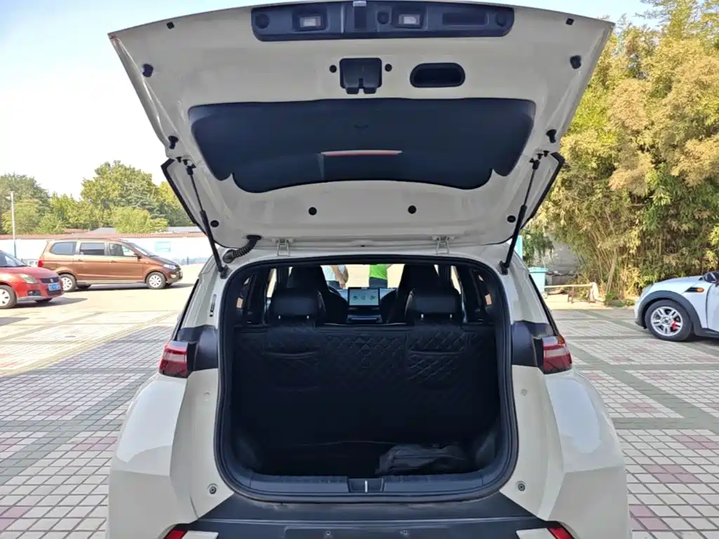 BYD Seagull — фото 19