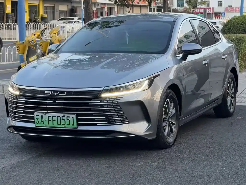 BYD Destroyer 05 — фото 3