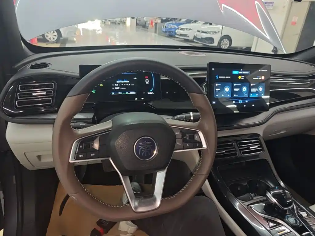 BYD Qin PLUS — фото 10
