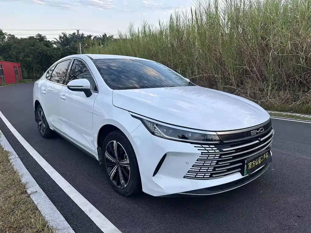 BYD Destroyer 05 — фото 3