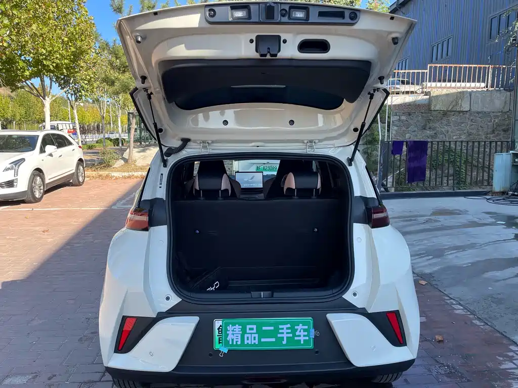 BYD Seagull — фото 16