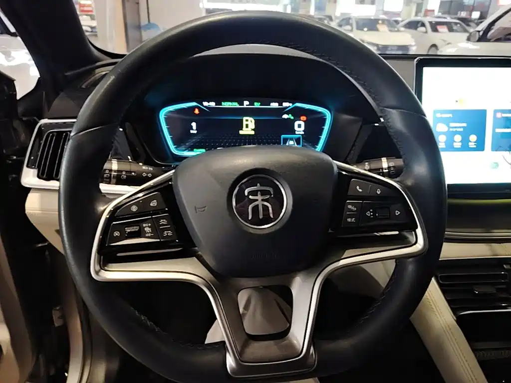 BYD PLUS New Energy — фото 11