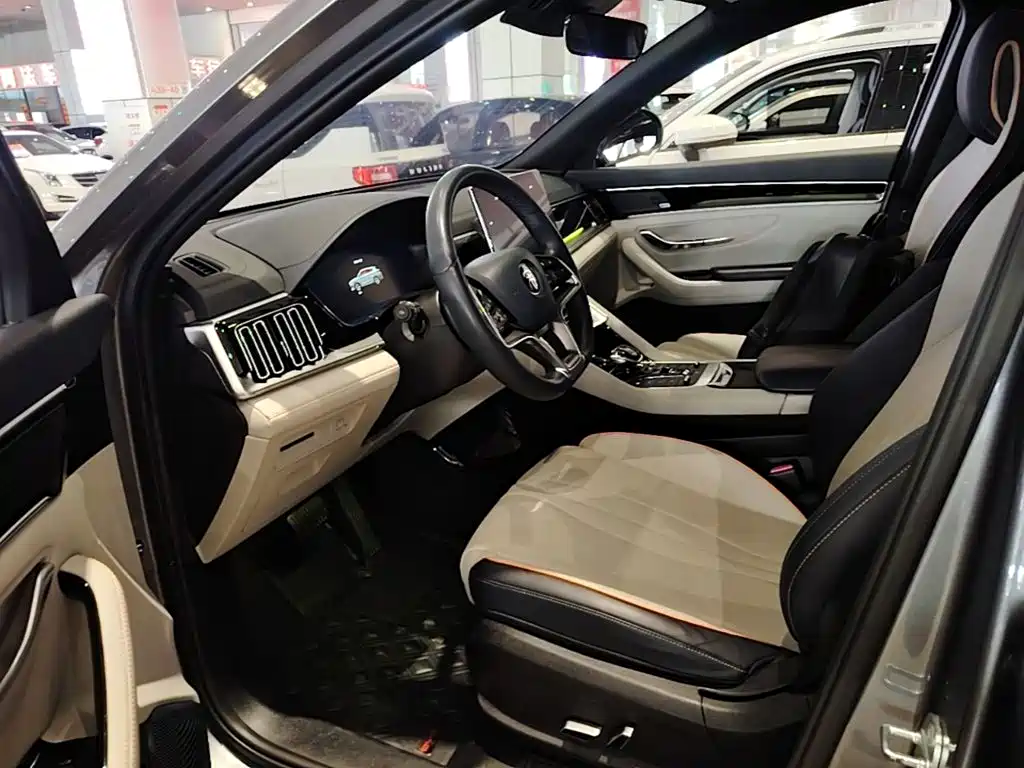 BYD PLUS New Energy — фото 15