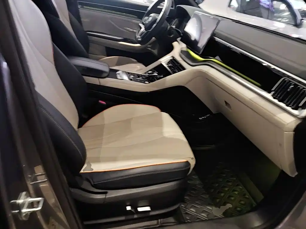 BYD PLUS New Energy — фото 25