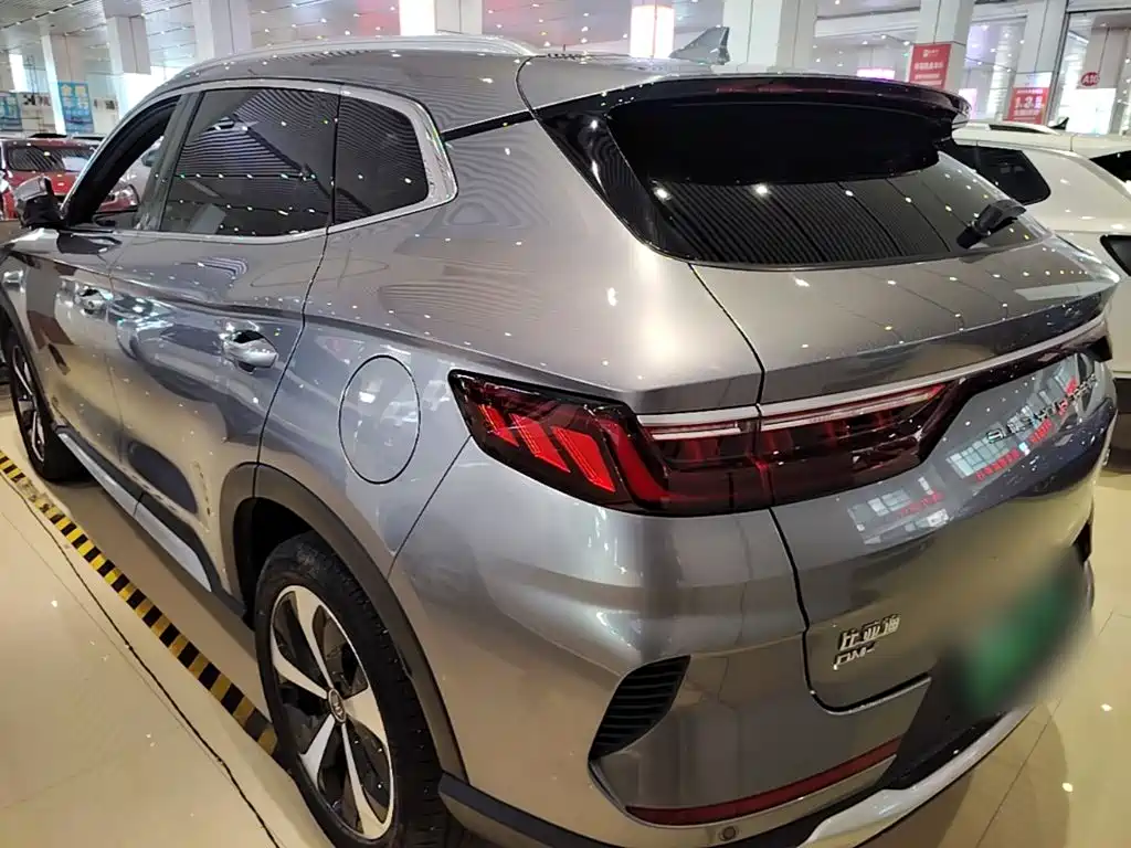 BYD PLUS New Energy — фото 5