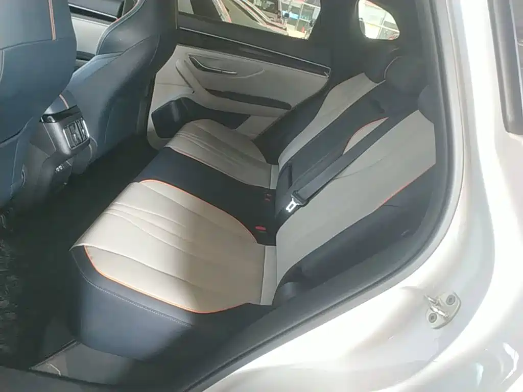 BYD PLUS New Energy — фото 17