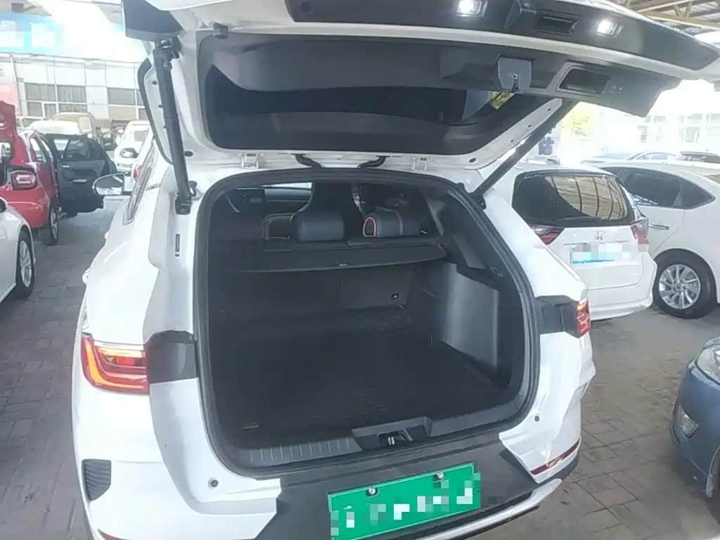 BYD PLUS New Energy — фото 19