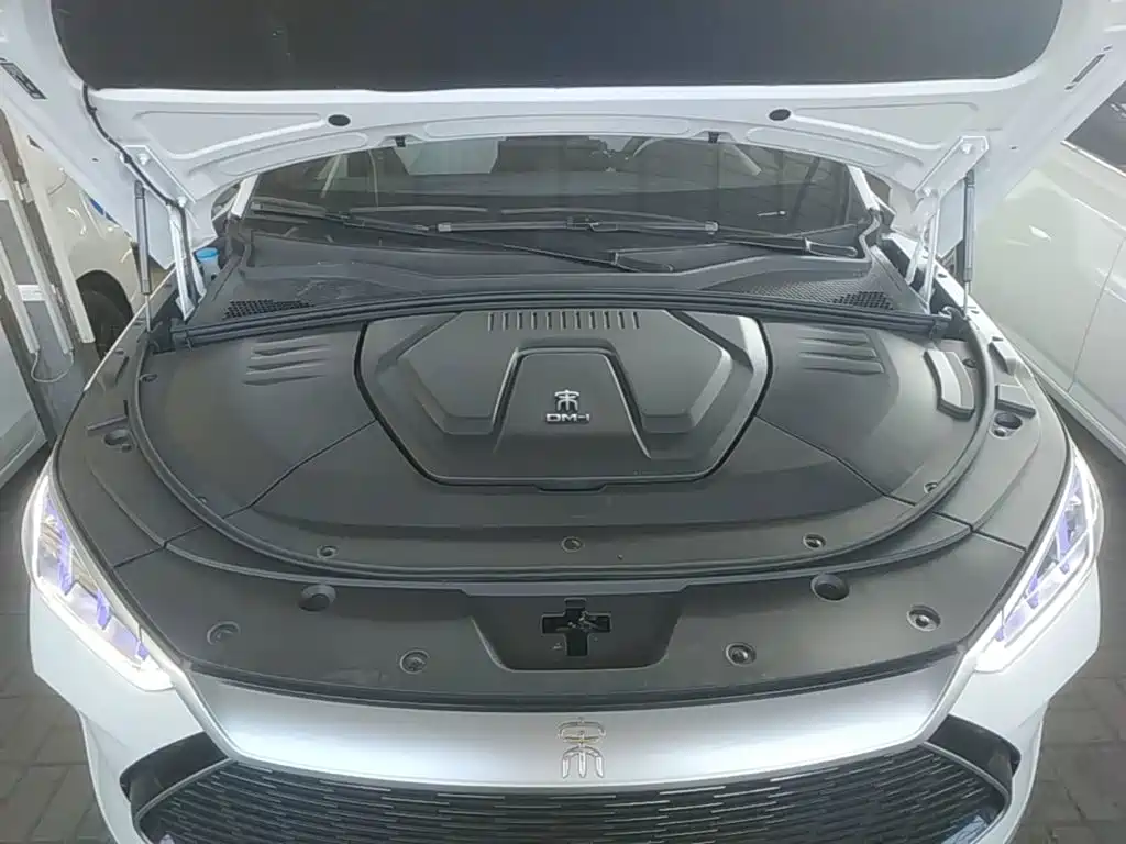 BYD PLUS New Energy — фото 20