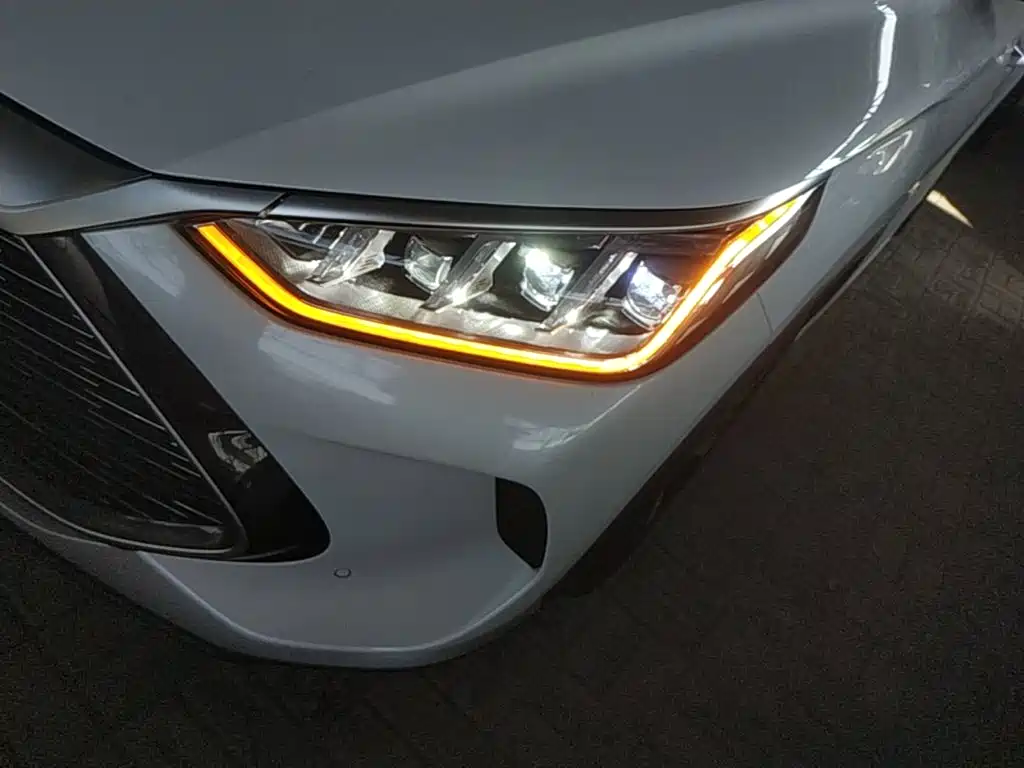 BYD PLUS New Energy — фото 24