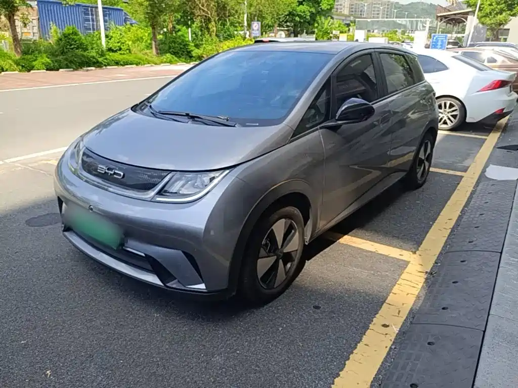 BYD Dolphin — фото 2