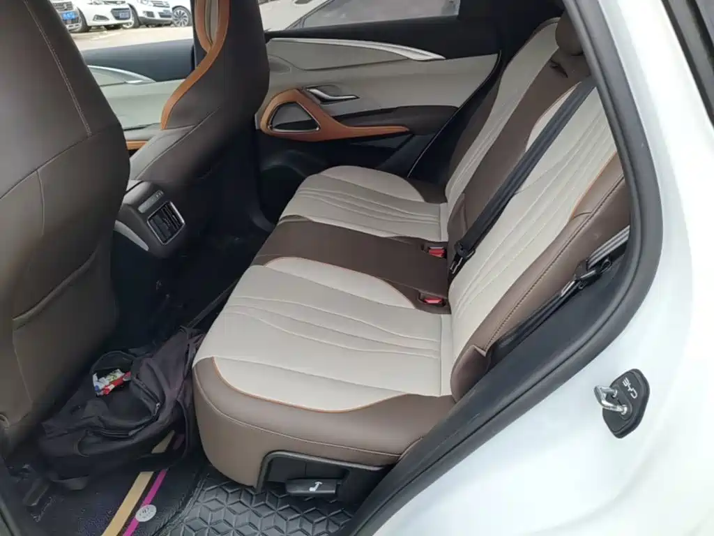 BYD Pro New Energy — фото 17