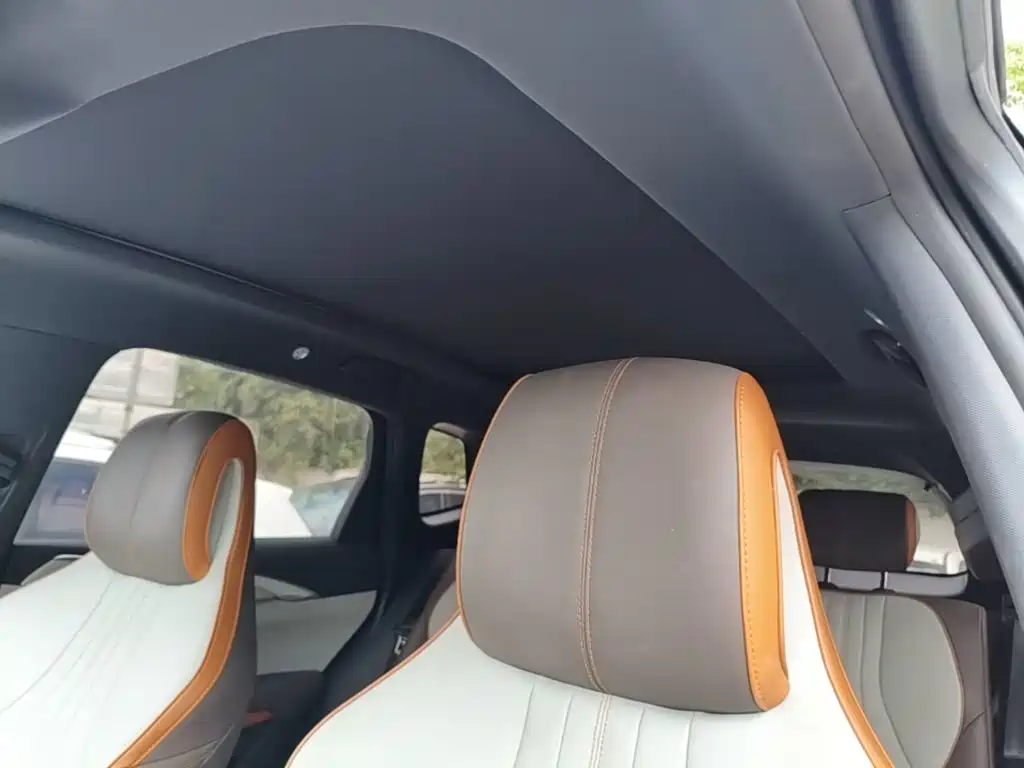 BYD Pro New Energy — фото 18