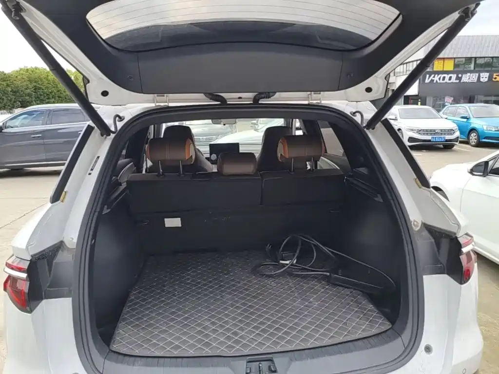 BYD Pro New Energy — фото 19