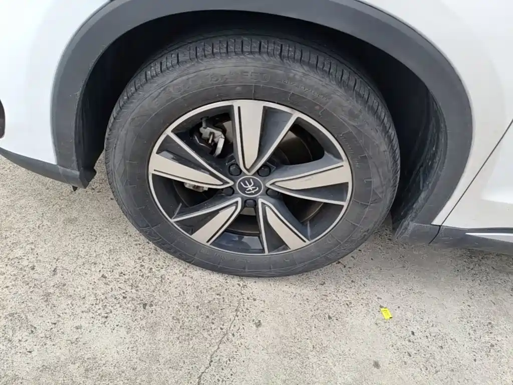BYD Pro New Energy — фото 23