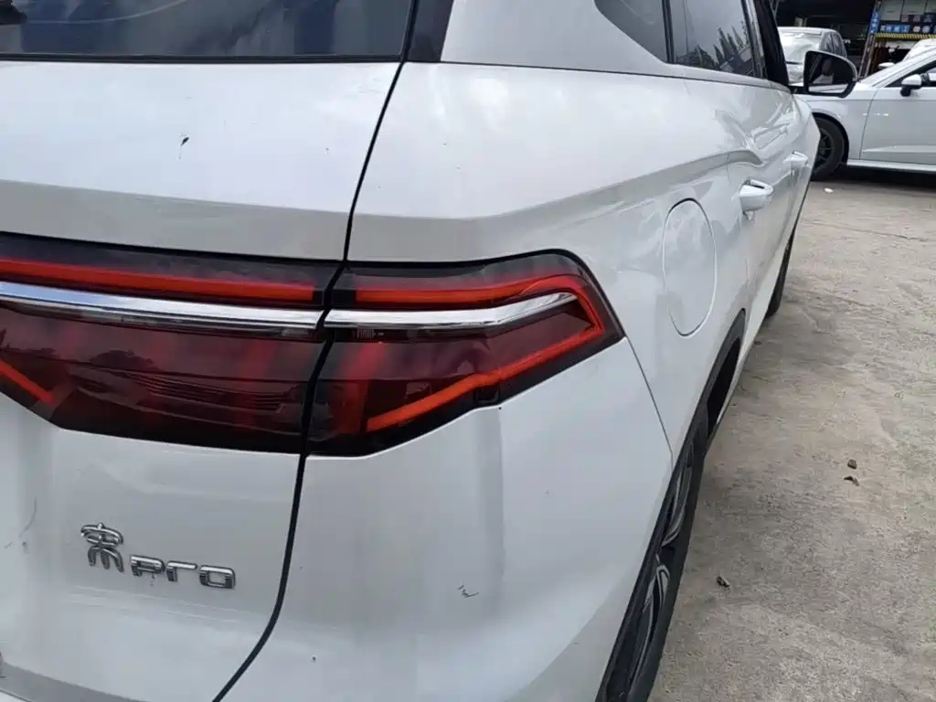 BYD Pro New Energy — фото 8