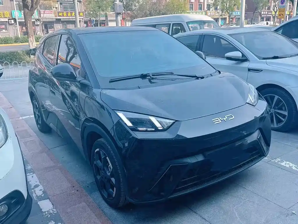 BYD Seagull
