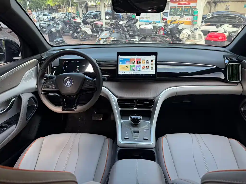 BYD Pro New Energy — фото 4